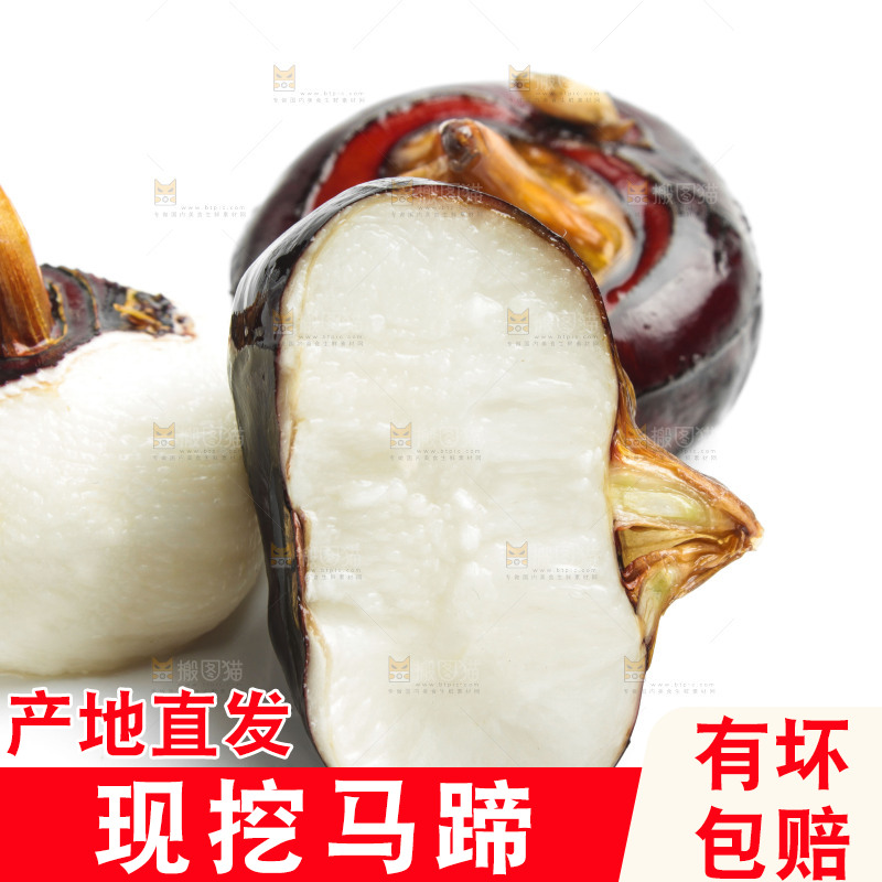白底上摆放着广西荔浦马蹄