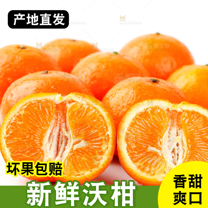 白底上放着广西沃柑