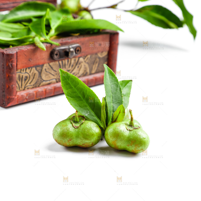 白底上放着绿茶叶