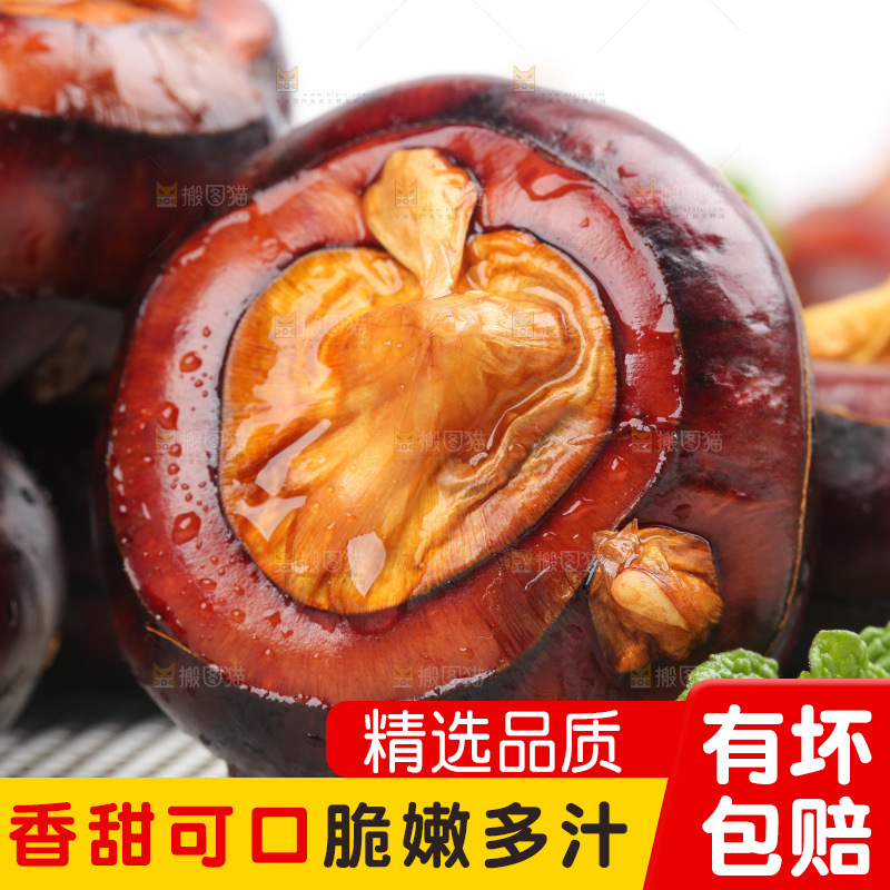 浅底上的马蹄果