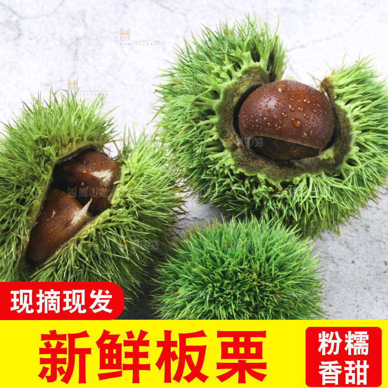 浅底上放着毛栗子