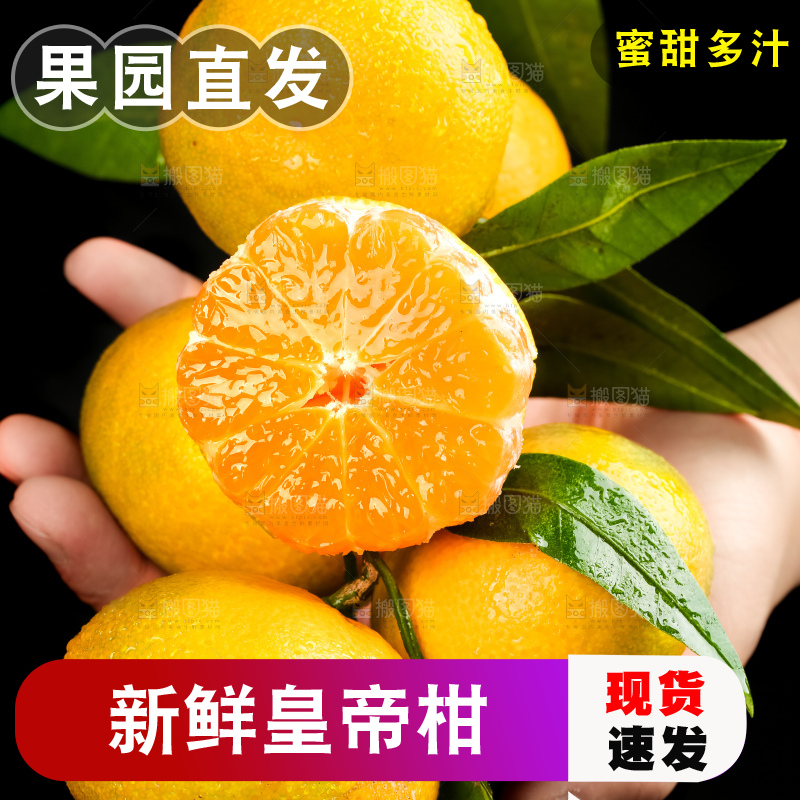 手上捧着皇帝柑
