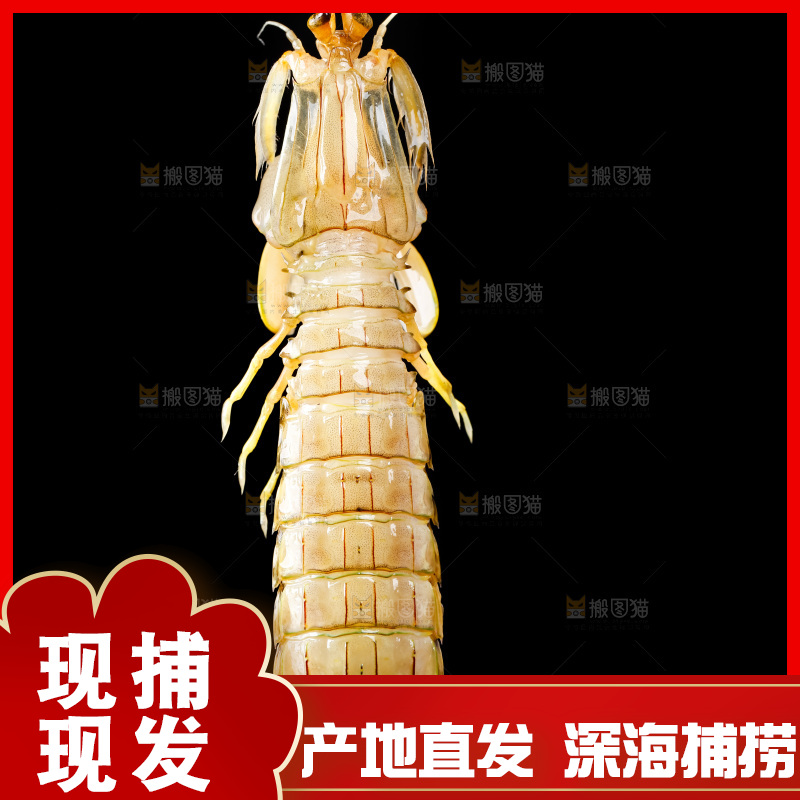 手里拿着生鲜皮皮虾