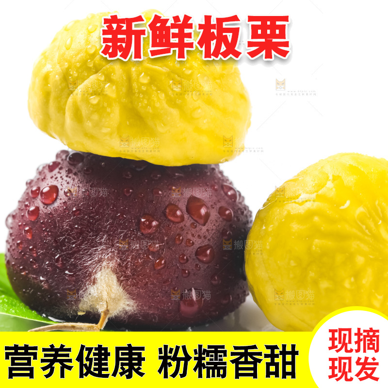 白底上的板栗