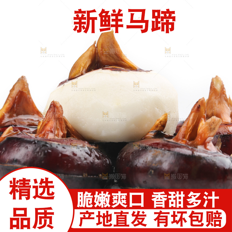 白底上放着广西马蹄