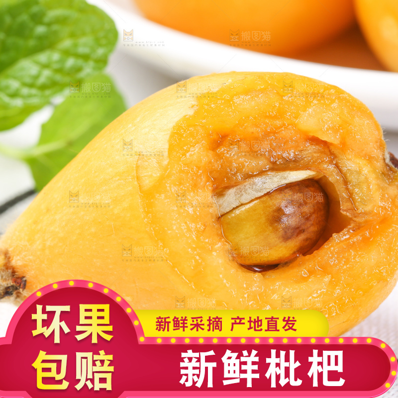 白格子底上的云南蒙自枇杷