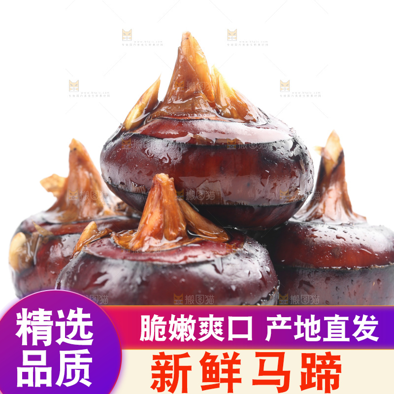 白底上放着广西马蹄