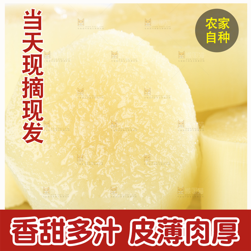 白底上的农家黄皮甘蔗