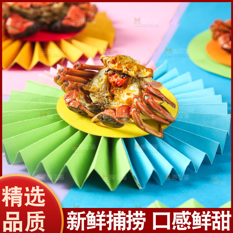 彩底上的螃蟹