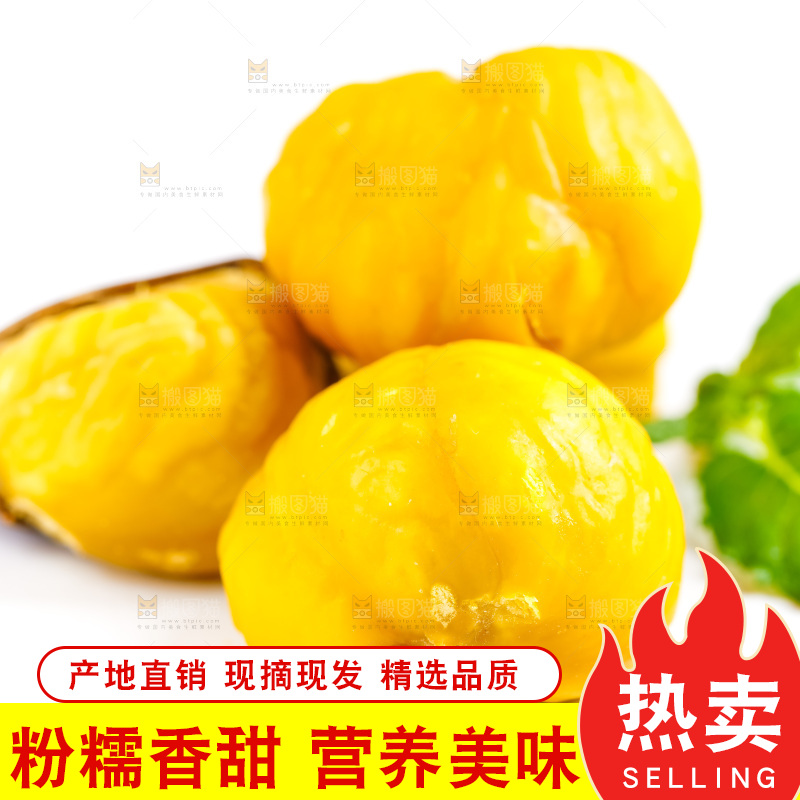 白底上放着毛栗子