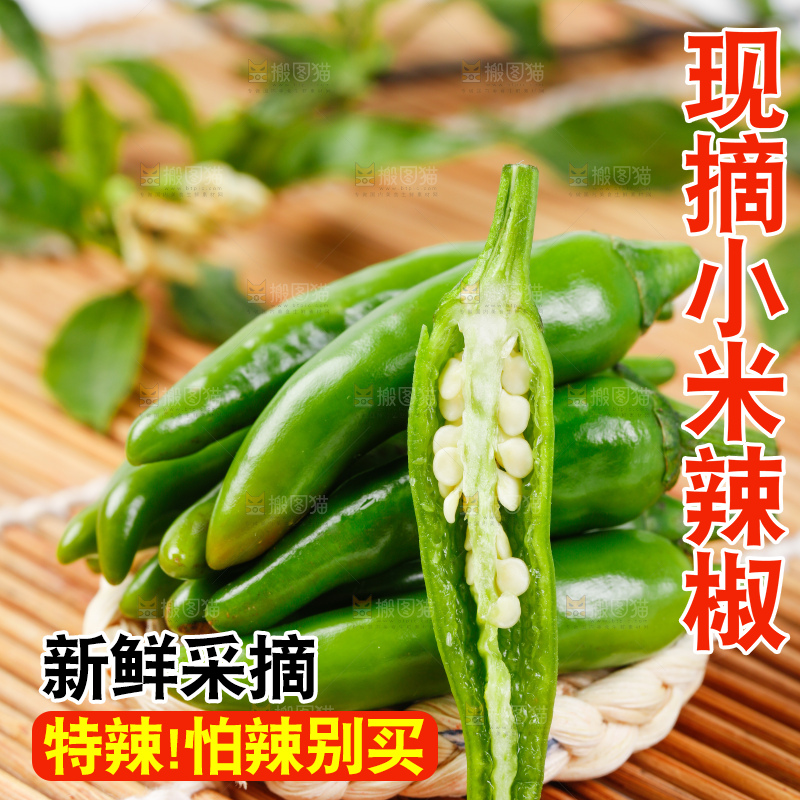 竹底上摆放着青米椒