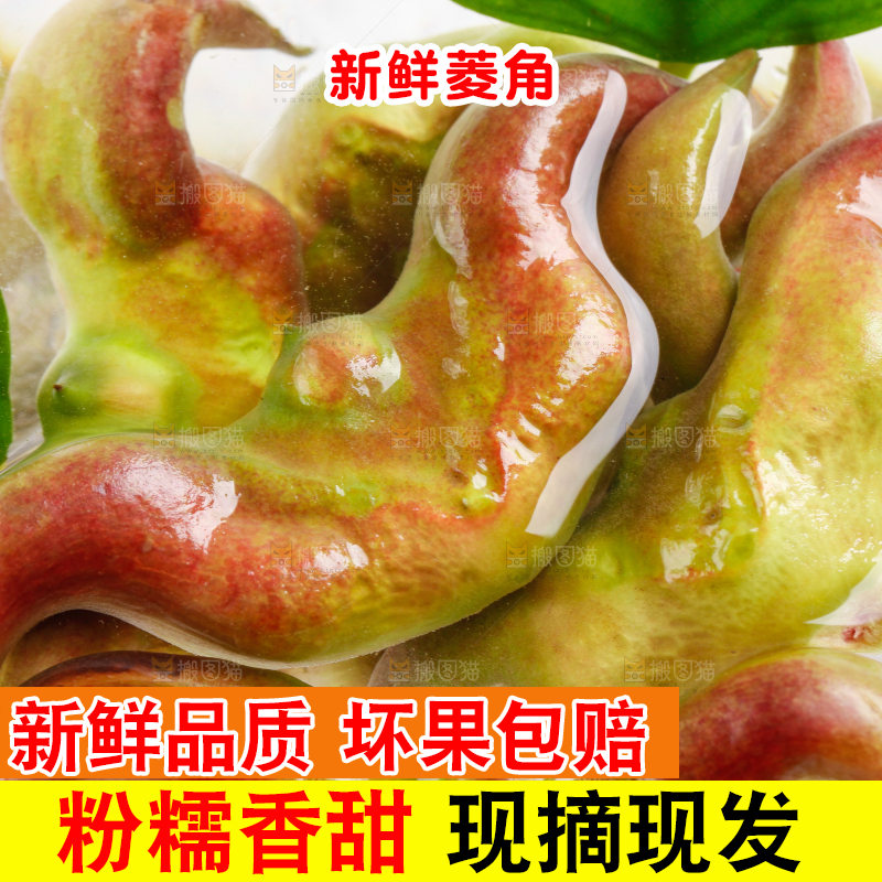 碗里装着洪湖菱角