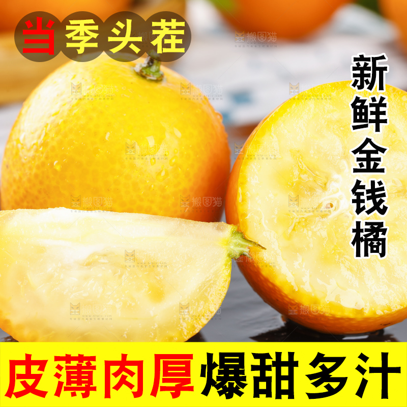 黑石板上的广西金钱橘