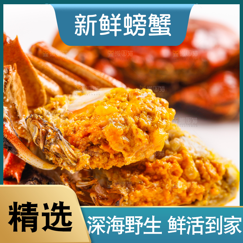 白底上的大闸蟹