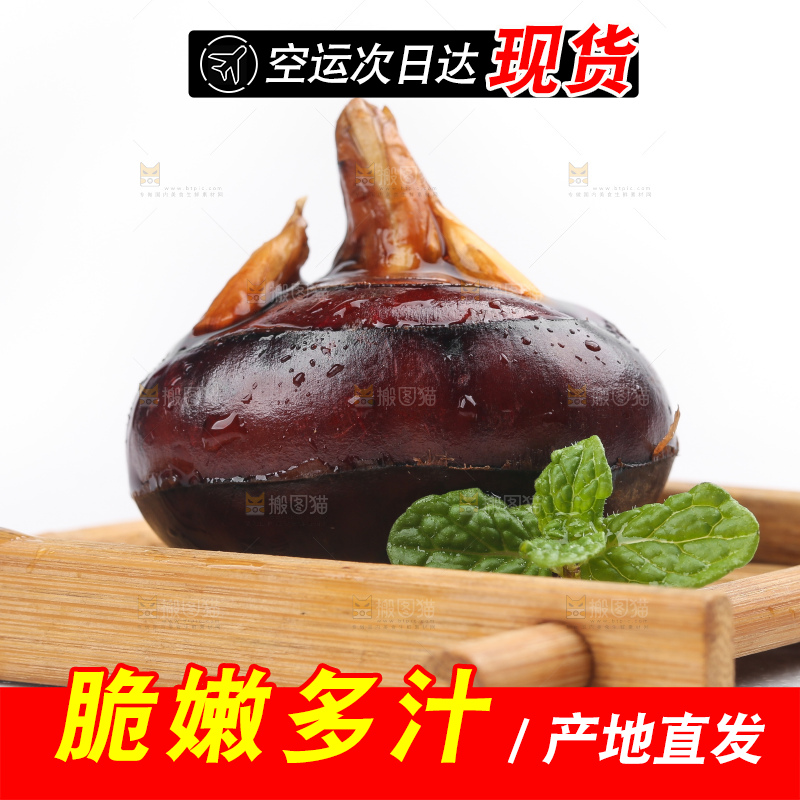 白底上放着广西马蹄