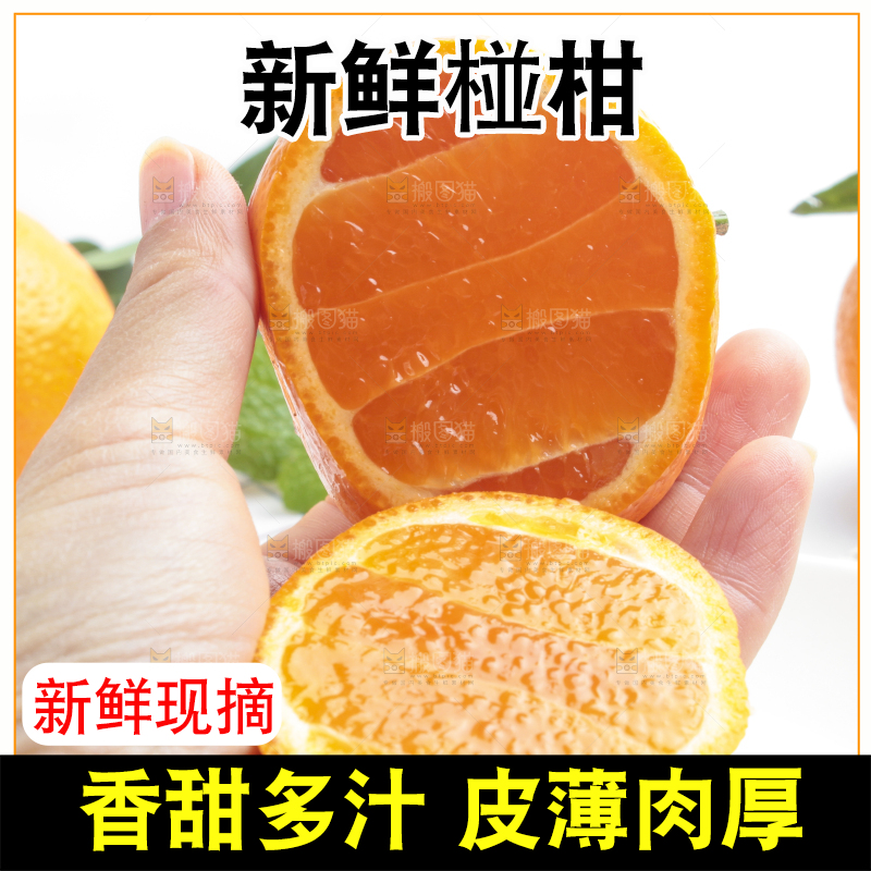 手里拿着新鲜椪柑