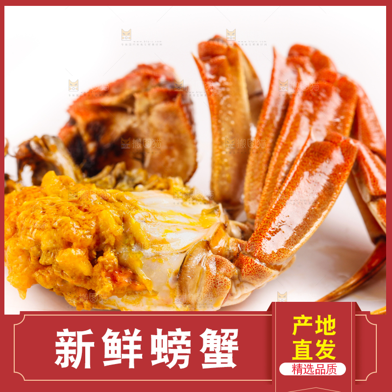 白底上的大闸蟹