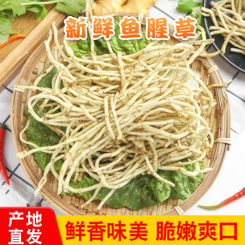 篮子里装着鱼腥草