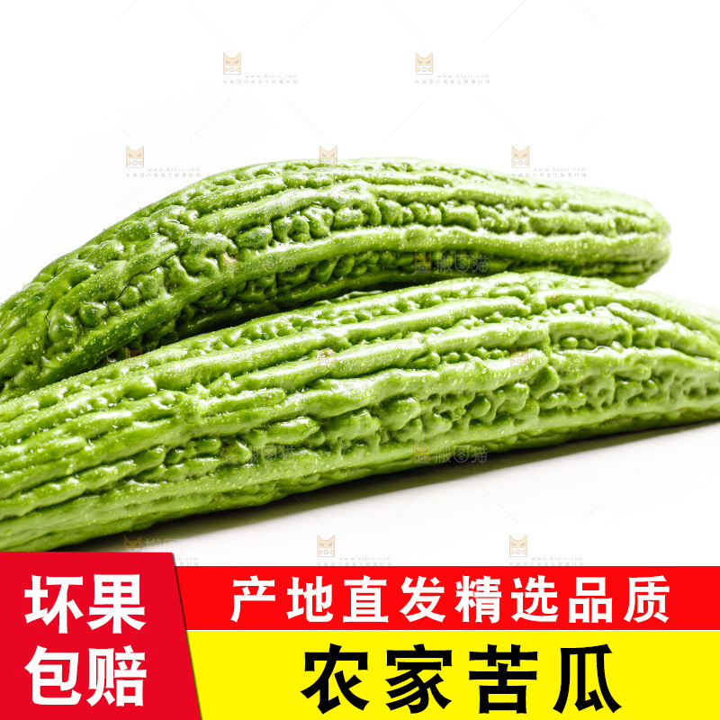 白底上摆放着新鲜苦瓜