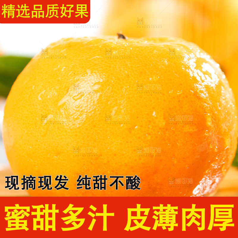 木板上放着宜昌芦柑