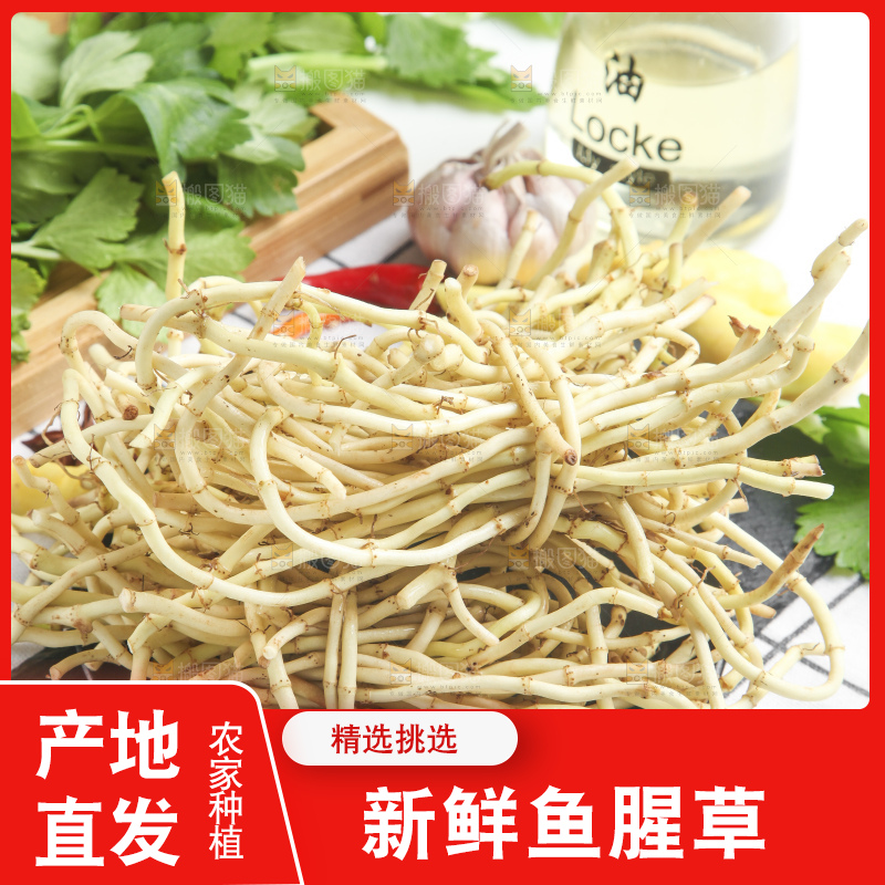 石板上放着折耳根