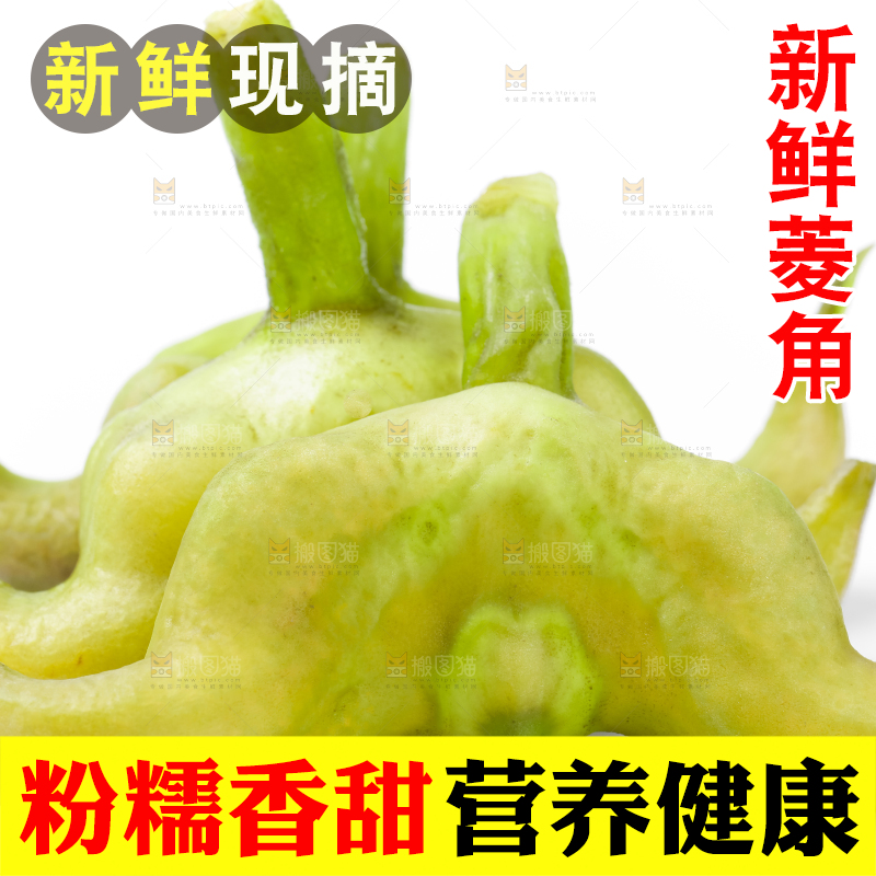 浅底上的新鲜菱角