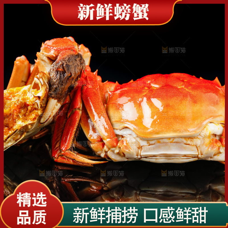 黑底上放着清蒸螃蟹
