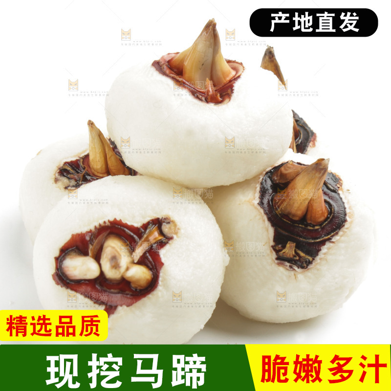 白底上摆放着广西荔浦马蹄