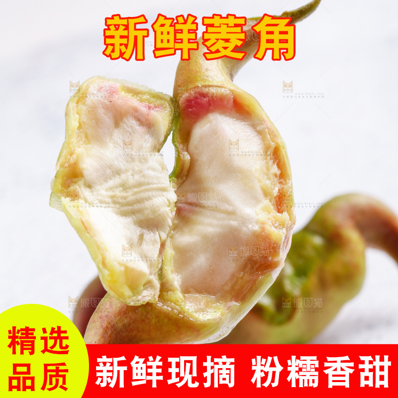 白底上的菱角