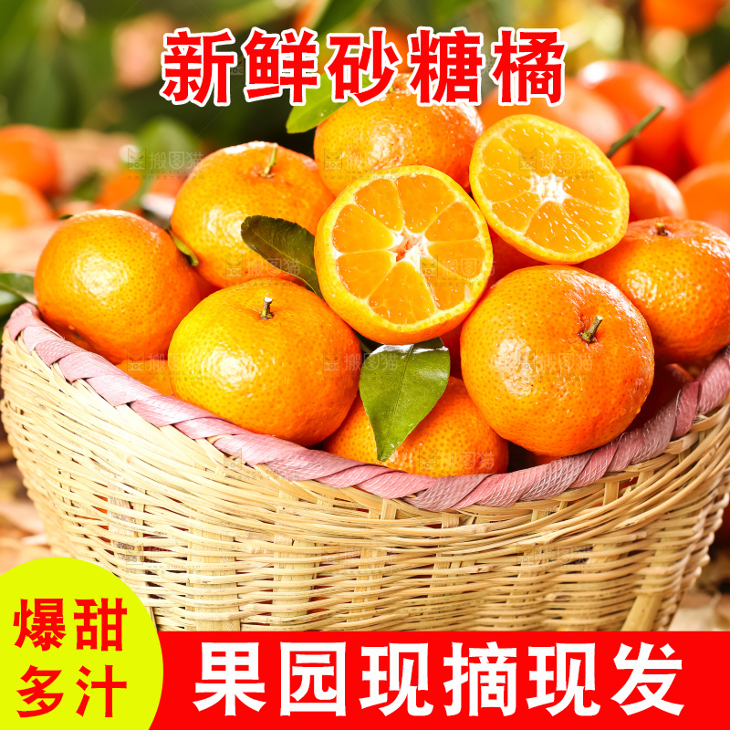篮子里装着广西砂糖橘
