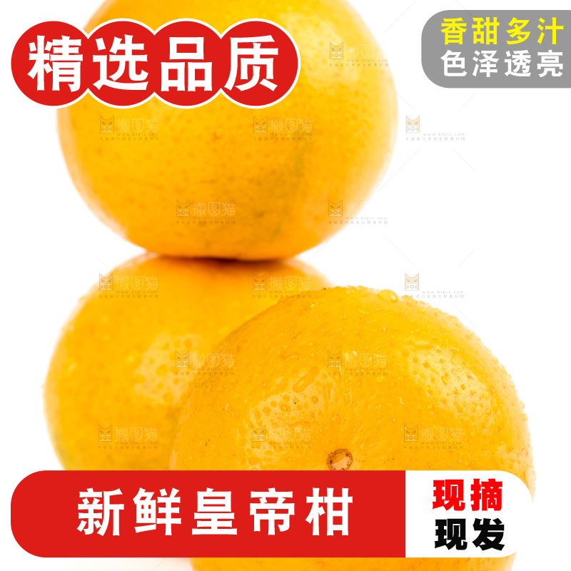 白底上的皇帝柑