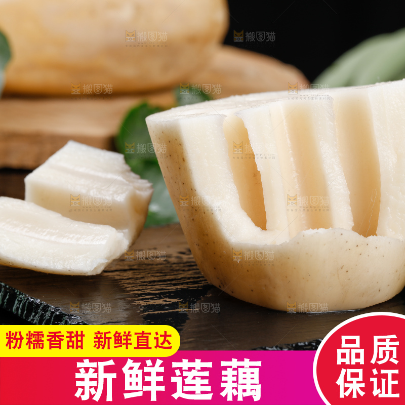 黑底上的粉莲藕