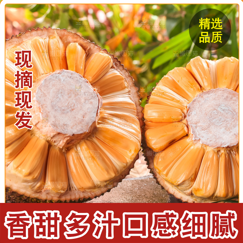 石板上放着红心菠萝蜜