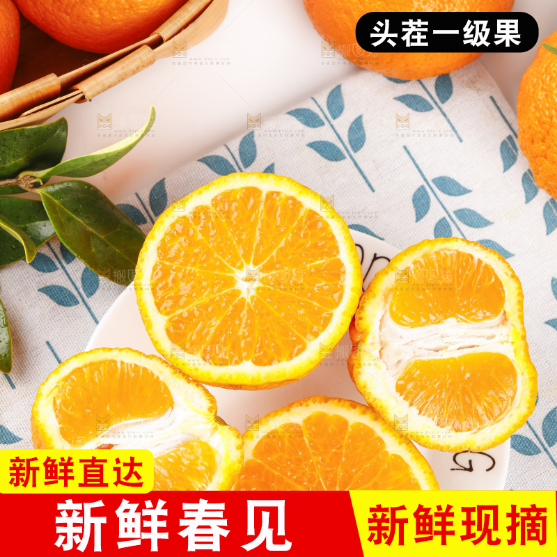 浅底上的春见耙耙柑