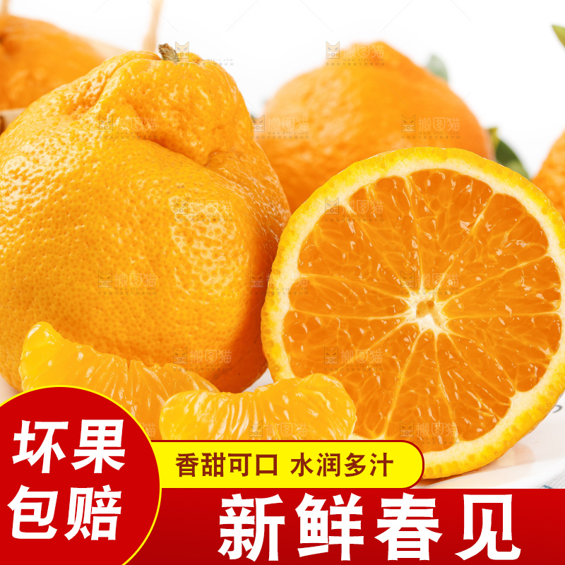 浅底上的春见耙耙柑