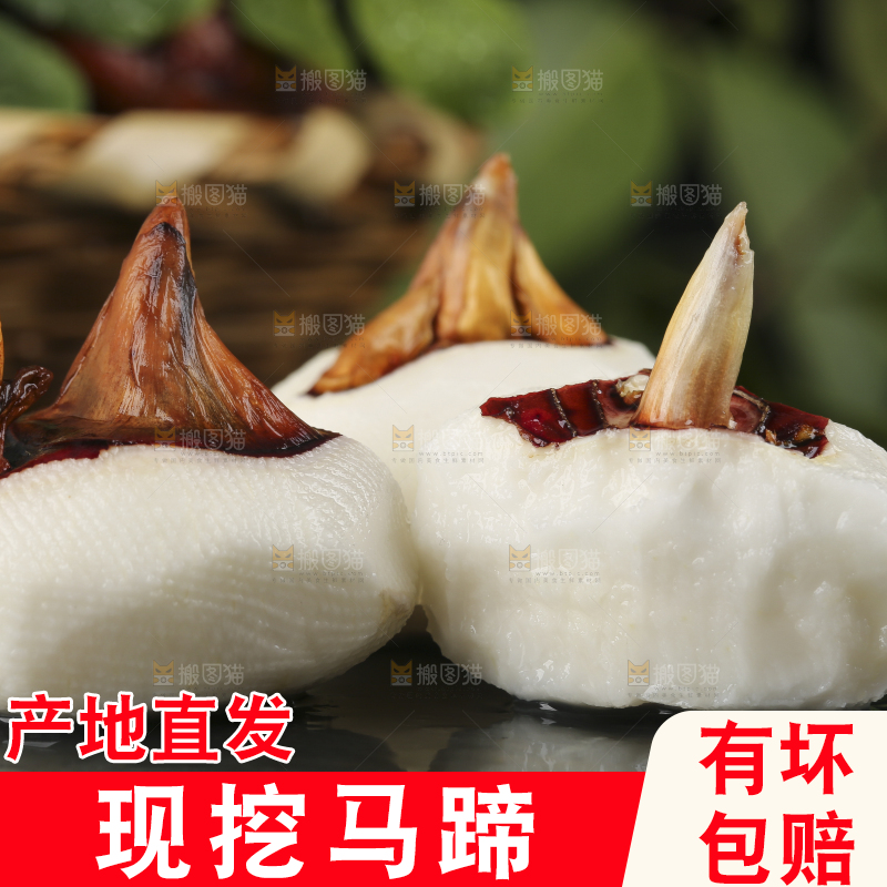 黑石板上的荔浦马蹄