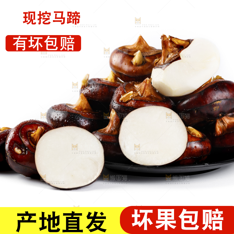 白底上放着广西马蹄