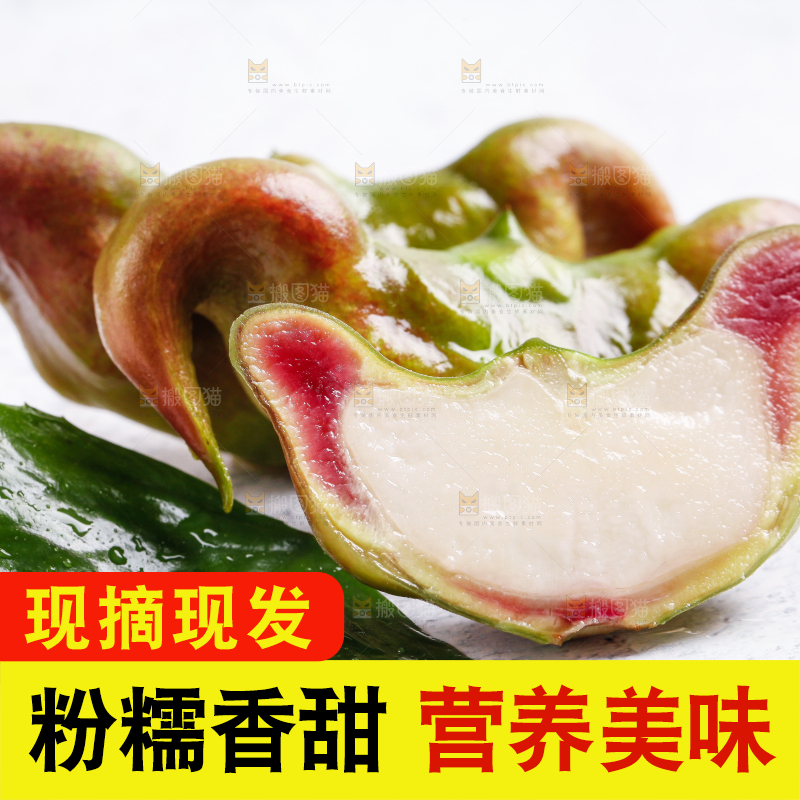 白底上的菱角