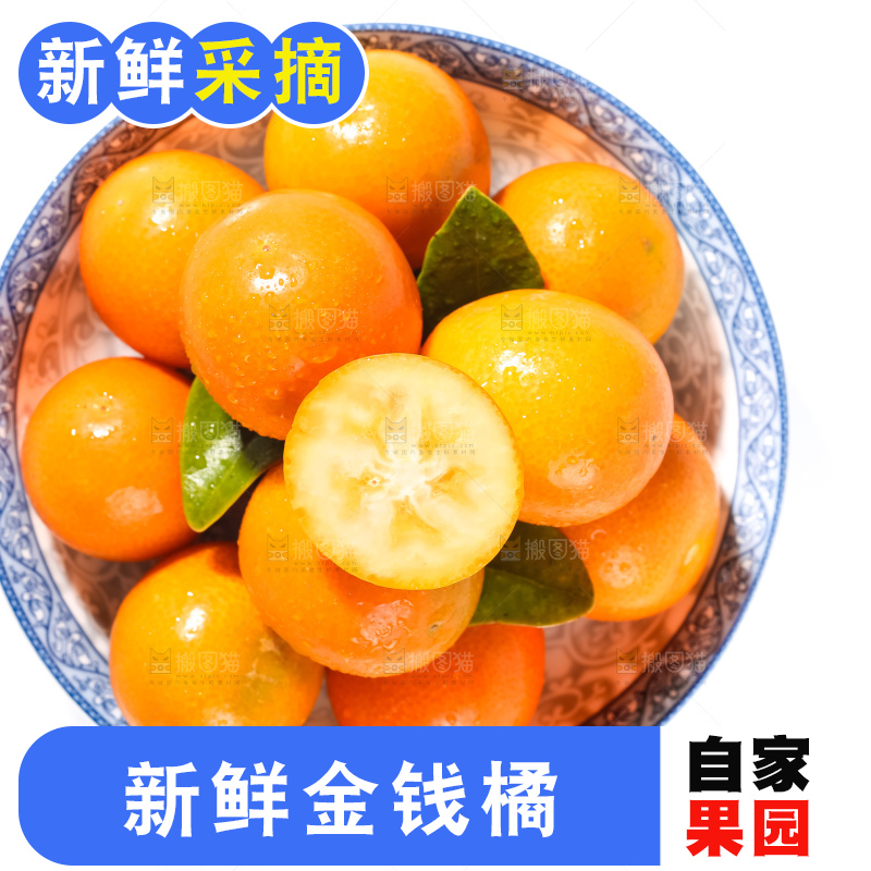 碟子里装着金钱橘