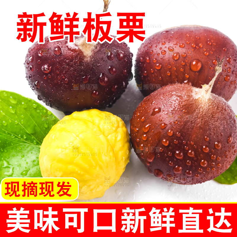 白底上的板栗