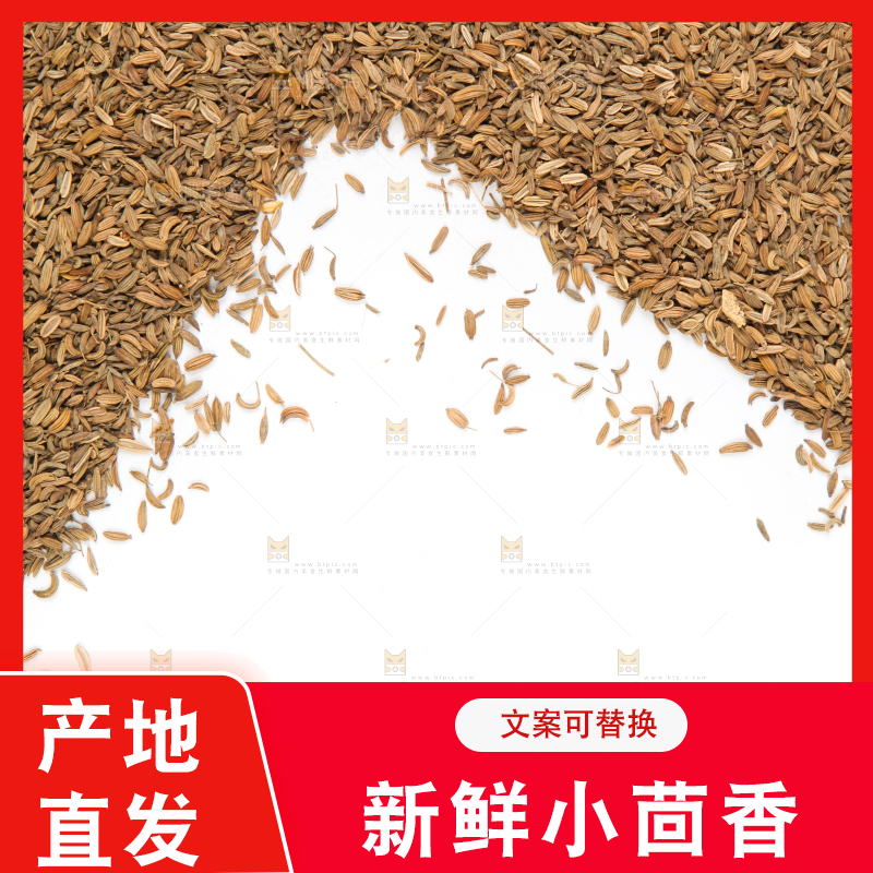白底上一堆小茴香