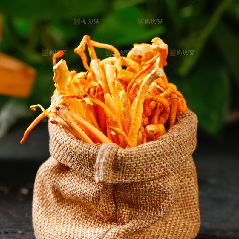 深底上的虫草花