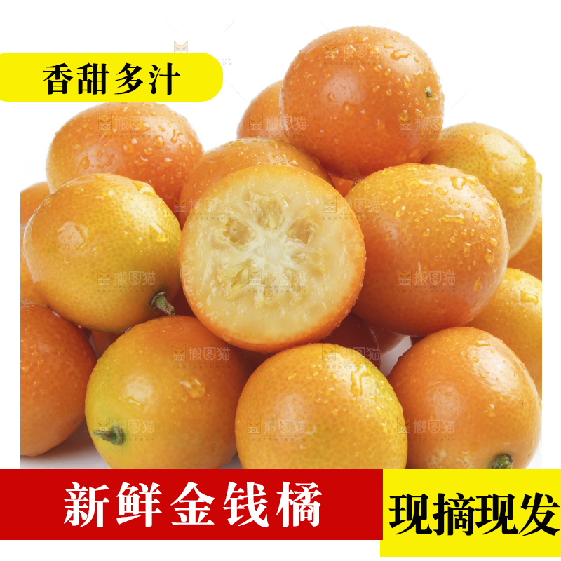 白底上的金钱橘