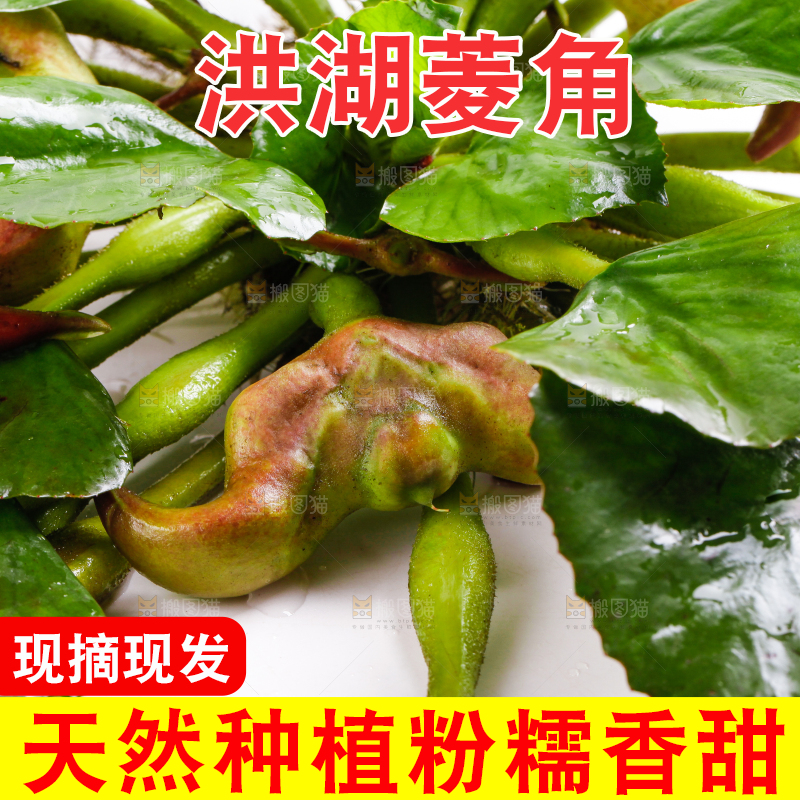 浅底上放着洪湖菱角