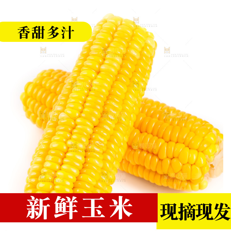 白底上放着黄玉米