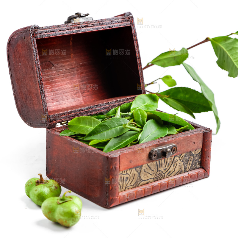 白底上放着绿茶叶