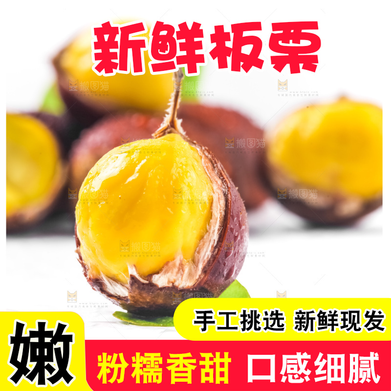 白底上的板栗