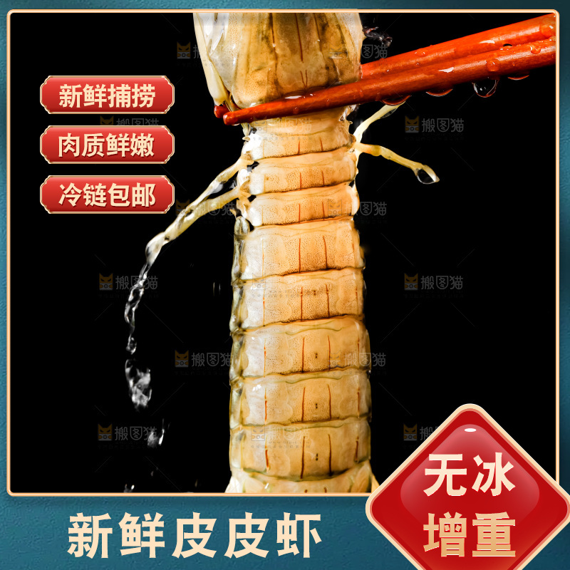 筷子上夹着虾姑