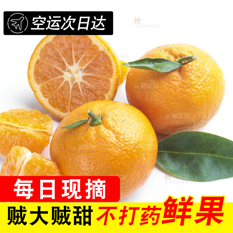 白底上的椪柑