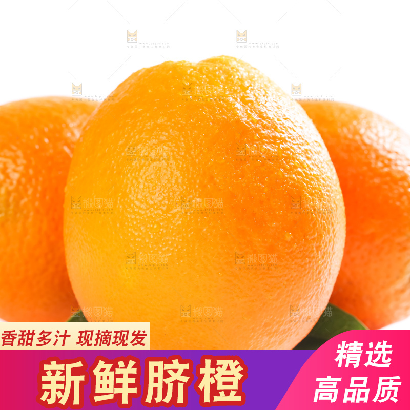 白底上的高山甜橙